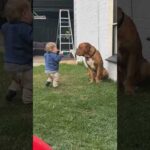 Heartwarming Moment as Child Embraces Dog Companion