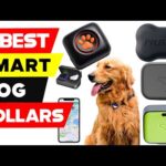 Top 5 Best Smart Dog Collars 2024 [ Reviews and Buying Guide ]