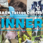 Here Are The 2024 BARK Tattoo Contest Winners!