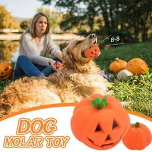 Cibee And Go Engineering Car Graspable Squeaky Dog Toy For Aggressive Chewers Pumpkin Dog Teething