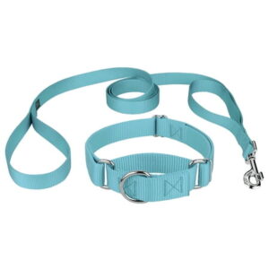 Country Brook Design- Martingale Nylon Collar & Double Handle Leash-Ocean Blue – Large