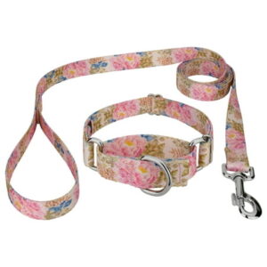 Country Brook Petz® Watercolor Peonies Martingale Dog Collar and Leash, Large