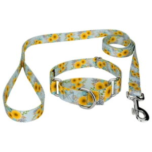 Sunny Days Martingale Dog Collar and Leash, Large