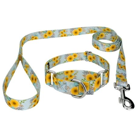 Sunny Days Martingale Dog Collar and Leash, Large