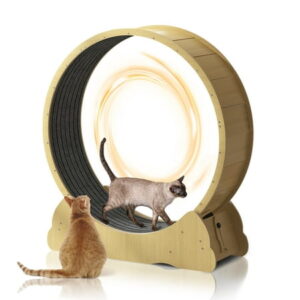 Muhub 41″ Cat Wheel Exerciser for Indoor Cats,Cat Wherl, Cat Running Wheel for Fitness Weight(Natural Wood-L)