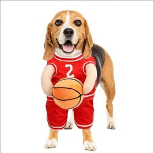 HAOZEEN Dog Basketball Costume with Ball, Basketball Dog Costume, Dog Basketball Player Costume, Dog Basketball Costume, Pet Halloween Costumes for Dog Cat, Adjustable Straps(Red,S)