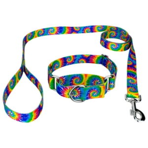 Classic Tie Dye Martingale Dog Collar and Leash, Large