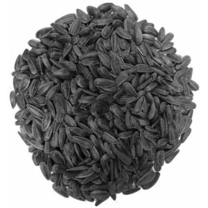 Black OIL SUNFLOWER Seeds Chickens Parrots Wild Birds