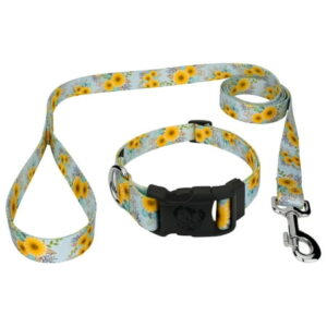 Deluxe Sunny Days Dog Collar and Leash, Extra Large