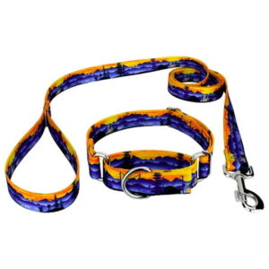 Great Outdoors Martingale Dog Collar and Leash, Large