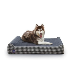 Laifug Extra Large Dog Bed with Orthopedic Memory Foam, Dog Pillow, Waterproof Liner & Washable Cover (BlackÃ¯Â¼ÂXL)