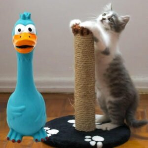Novelty, Durable, Latex, Screaming Chicken Toy, Sound Squeaker , Interactive Training Chewing Toys, Noise Making , Blue