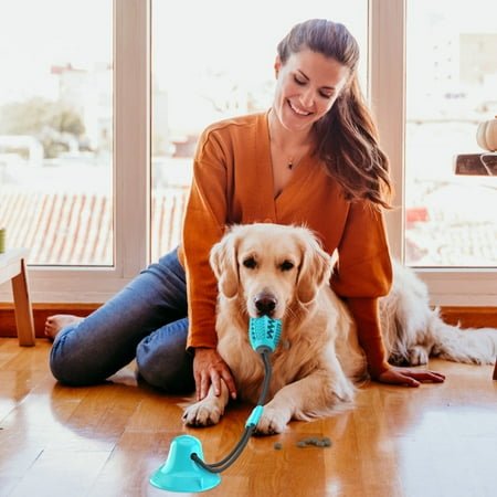 Interactive Dog Toy Bundle Toys For Mental Stimulation And Play Dog Puzzle writing tablet building blocks girl toys Treat Food Dispensing Toy For kids bracelet making kit Small play doh Medium Dogs