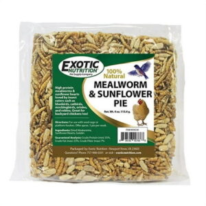 Exotic Nutrition Mealworm & Sunflower Pie