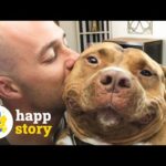 This Dog Can't Stop Smiling After Being Rescued From A Shelter | HAPP