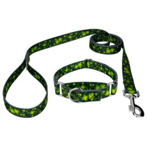 Country Brook Petz® Clovers In The Wind Martingale Dog Collar and Leash, Large