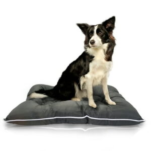 Precious Tails Co-Pilot Waterproof Dog Bed, Grey, Large, 36″L x 27″W x 5.5″H