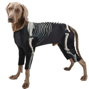 Halloween Dog Skeleton Costumes, Pet Cosplay Hoodies, Funny Puppies Dress Up Apparel Clothes,Black,XL