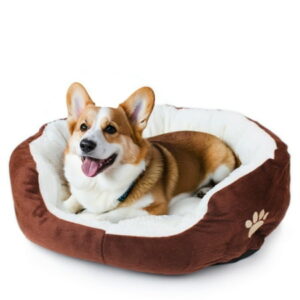 PinkSheep Dog Beds for Small Medium Dogs Pet Cats Dog Bed with Removable Cushion Pet Bed for Cats Dogs Brown