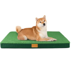 Exclusivo Mezcla Orthopedic Pet Bed for Small Dogs 20″X15″, Waterproof Dog Beds with Removable Washable Cover, Green