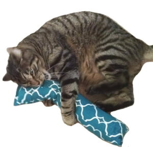 West Coast Pet Products 15″ Catnip Cat Kicker Toys with 1 oz Premium Canadian Catnip, Green