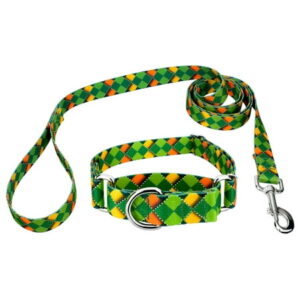 Country Brook Petz® Limerick Argyle Martingale Dog Collar and Leash, Large