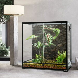 Guzzlo Reptile Glass Tank, 30 x 18 x 30 in, Knock Down Full View Natural Terrarium