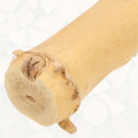 bearded dragon accessories Bearded Dragon Tank Decor Reptile Tree Branch Suction Cup Type Wood Branch Lizard Climbing Toy