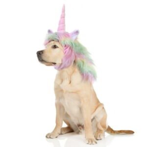 Unicorn Costume for Dogs, Funny Pet Apparel , Furry Dog Clothing Accessories (Size L, Unicorn)