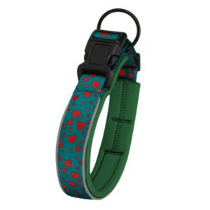 Adjustable Dog Collar, Strong and Durable Pet Training Leashes for Small, Medium, and Large Dogs