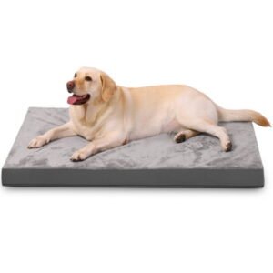 Behome 42Inch Orthopedic Dog Bed for Medium/Large Dogs, Supportive Egg Foam Pet Bed with Removable & Washable Cover, Waterproof Lining & Bite Resistant, Two Types of Fabrics(Gray)