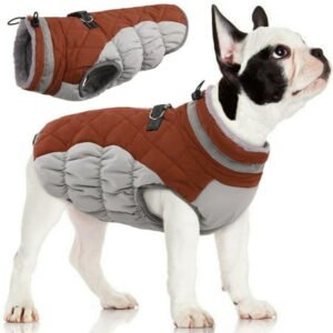 ROZKITCH Dog Winter Warm Coat Jacket Windproof Reflective Cold Weather Dog Jacket Comfortable Dog Apparel for Cold Weather Snowproof Vest Padded for Small Medium Large Dogs