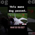 Ring Camera Captures The Heartwarming Presence Of Man's Beloved Dog #shortsviral #ghost