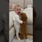 Adorable Puppy and Baby Meet for the Very First Time