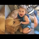 Dogs and Kids Growing Up Together | The Dodo