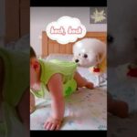 🐕🐕❤️❤️Most heartwarming & touching~ Cute Dog Takes Care Of Cute Baby😘😘