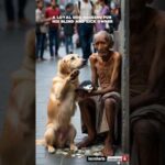 "Heartwarming: Loyal Dog Begs for Blind and Sick Owner 😢🐕" #shorts