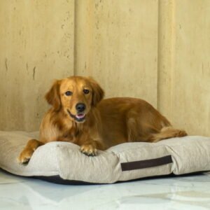 Vibrant Life Cord Tufted Dog Pet Bed
