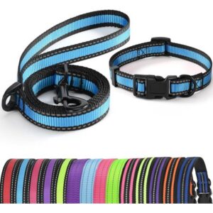 | Reflective Dog Collar Leash Set | Small Dog Collar Leash Set | Medium Dog Collar Leash Set | Adjustable Collar Leash Set (Reflective Edge Blue, Large (Pack of 2))