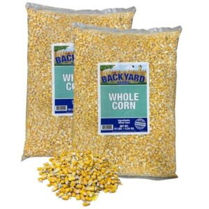 CountryMax Whole Corn Kernels for Feeding Wildlife, Deer, Turkeys, Chickens (20 Pounds)