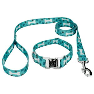 Country Brook Petz – Premium Oh My Dog Dog Collar and Leash