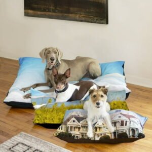 Customize Pet Bed, Plush Top, 30×40, Zip in Bun Insert, Cat and Dog Bed, Cover Washable, Weight 1.25lbs.