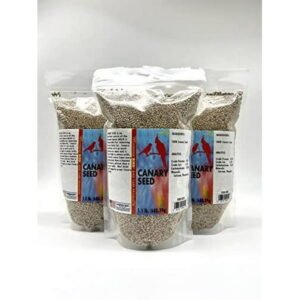 Morning Bird Canary Seed, High in Protein, Amino Acids, Potassium, and Calcium, Favorite for Birds, 4.5lbs (3-Pack, 1.5 lbs Each)