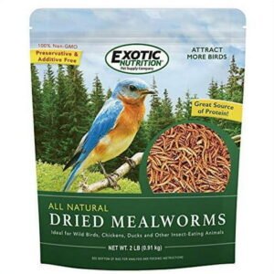 Exotic Nutrition Dried Mealworms 5 lb.