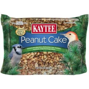 Kaytee Wild Bird Energy Cake With Peanut 2.68 lbs