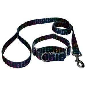 Country Brook Petz® Colorful Arrows Gunmetal Martingale Dog Collar and Leash, Medium