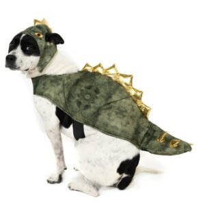 Vibrant Life Halloween Dog Costume and Cat Costume: Dinosaur, Size Medium
