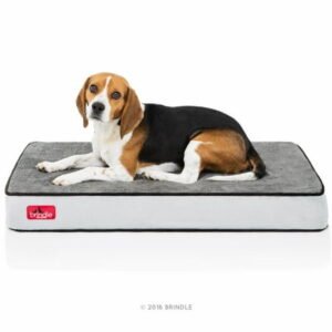 Brindle 4″ Memory Foam Pet Bed, Medium, Charcoal/Black