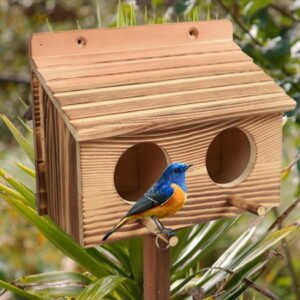 Weatherproof Wooden Bird Houses with Double Hole for Outside,Squirrel Feeder / Bird Nesting House Feeding Station,Hanging Nest box for Garden,Best Gift for Kids