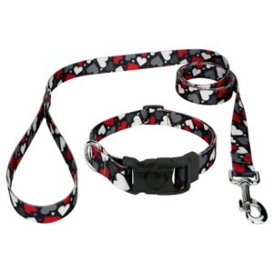 Country Brook Petz® Deluxe Be Mine Dog Collar and Leash, Mini